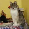 Отзыв от Эмилия Агафонова